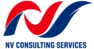 nvcsconsulting.com